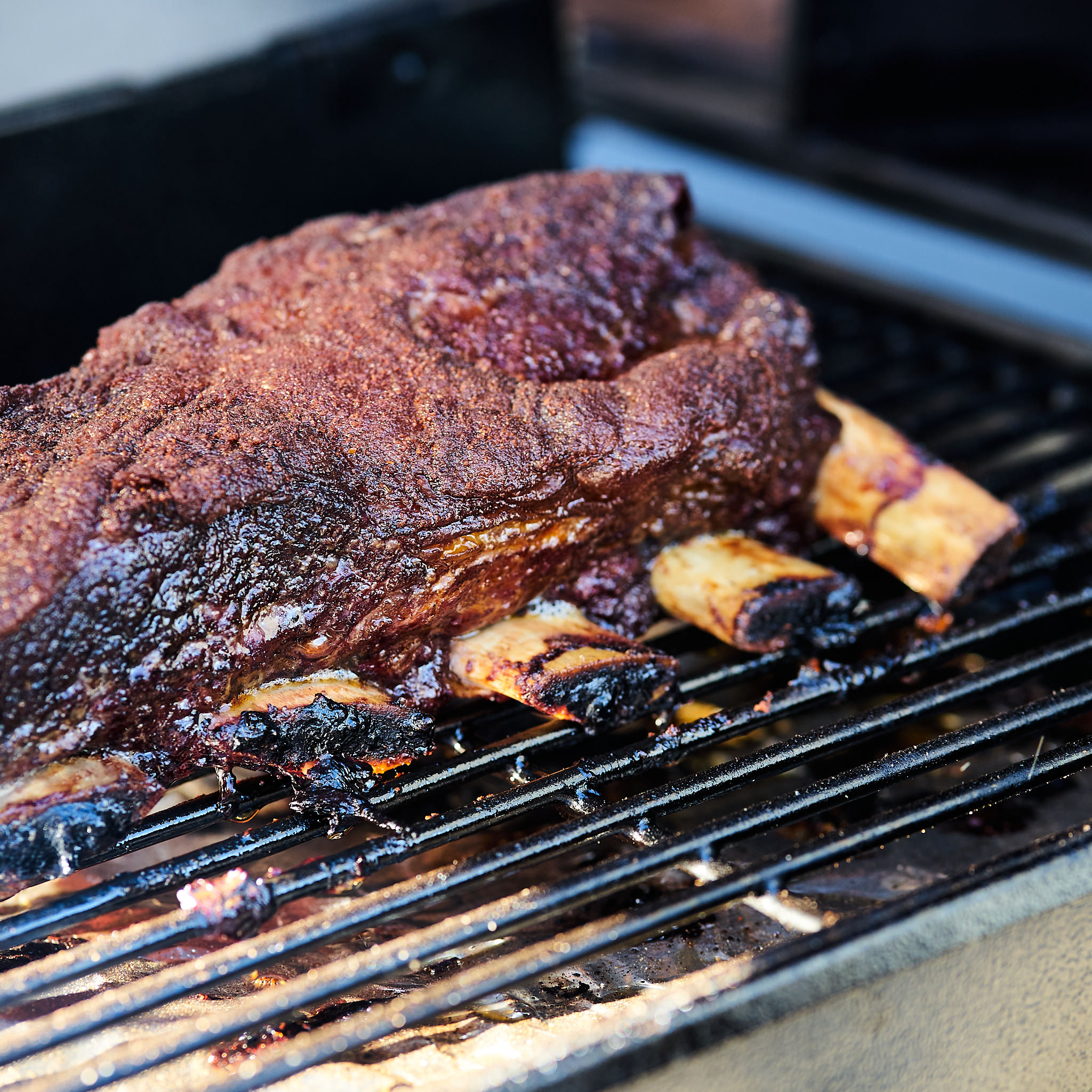 Shortribs mit herrlicher Kruste auf dem Grillgitter