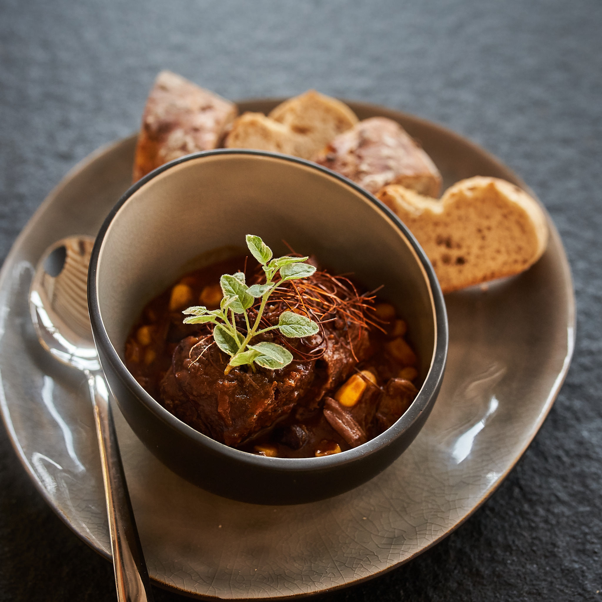 Herzhaftes Gulasch in dunkler Schuessel mit Weissbrot