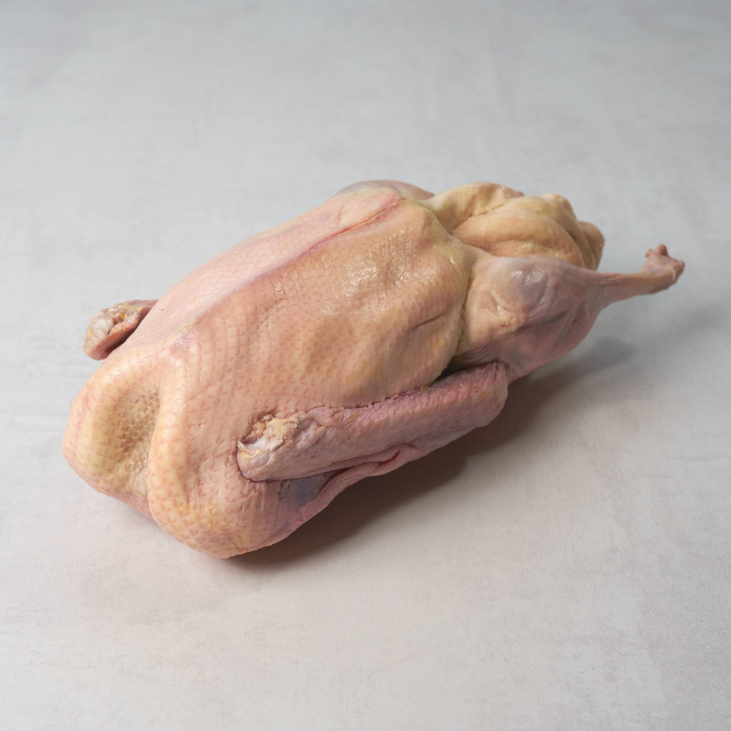 Fitmeat Weidegans Produktaufnahme